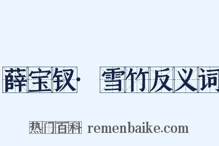 薛宝钗·雪竹反义词是什么意思的图片